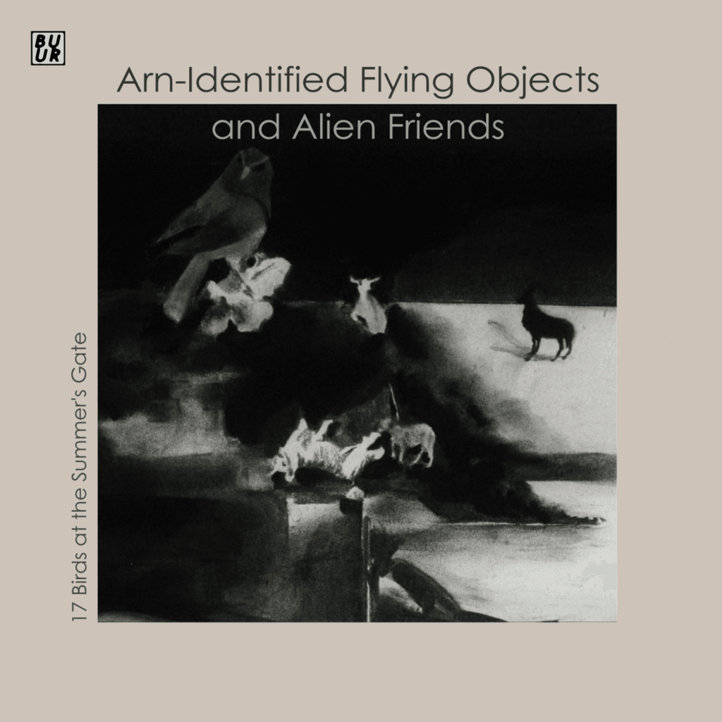 Arn-Identified Flying Objects and Alien Friends - Dream - Cover Artwork