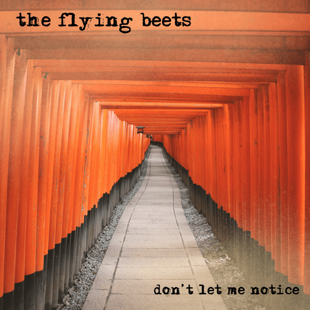 The Flying Beets - Don't Let Me Notice - Cover Artwork