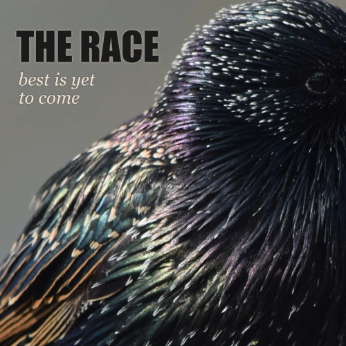 The Race Channel Noughties Indie Grandeur on New Single Best Is Yet To Come
