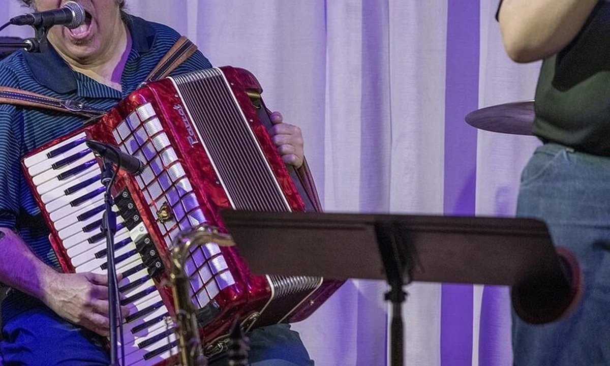 Catfish-Howl's Glen Robertson playing accordion live on stage