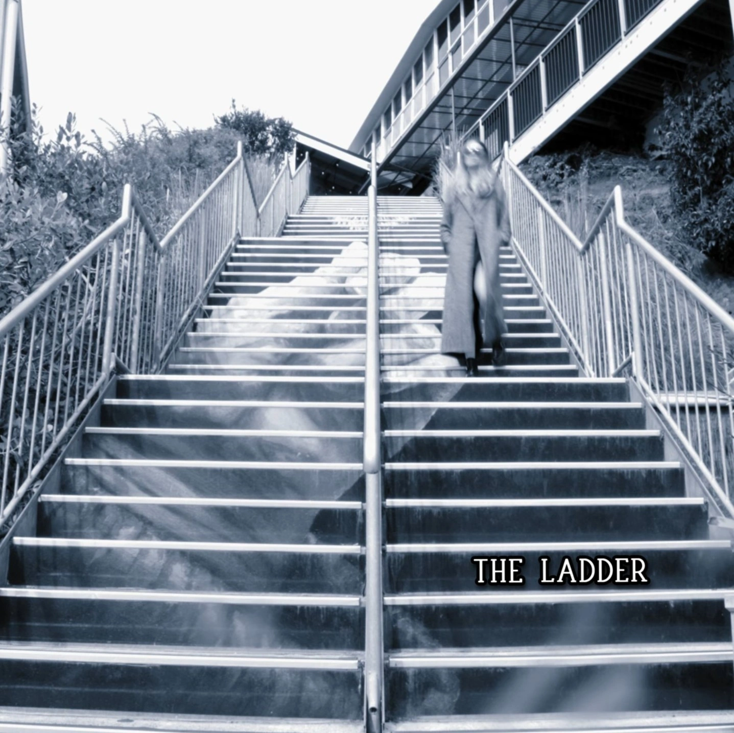 Captain Blistermint Chase a Technicolor Summer on "The Ladder"