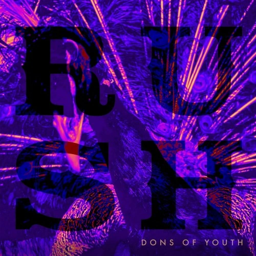 Dons of Youth Wrap Debut Single Rush in Dreamy, Mellow Guitars